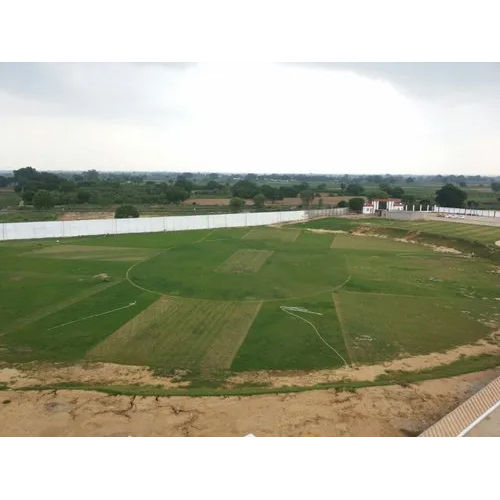 Cricket Ground And Pitches