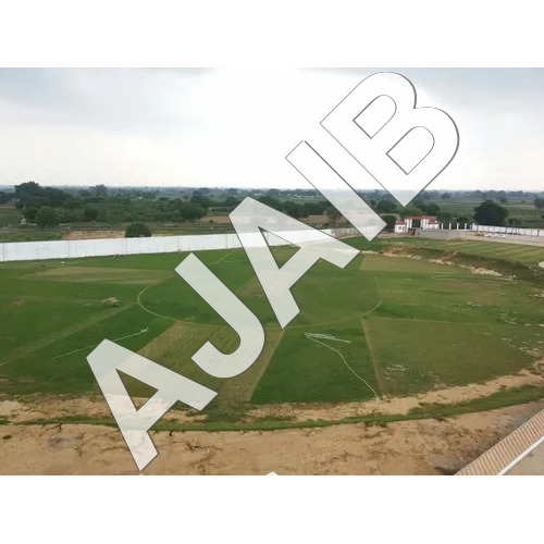 Cricket Ground And Pitches