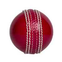 Cricket Swing Ball