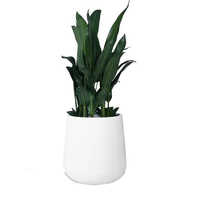 Mofna Round Frp Planter Pot - Color: White