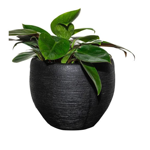 Black Mofna Frp Planter Pot