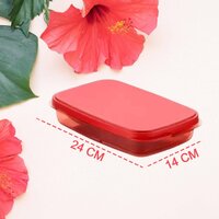 SEAL RECTANGULAR 2 CONTAINERS LUNCH BOX (2879)