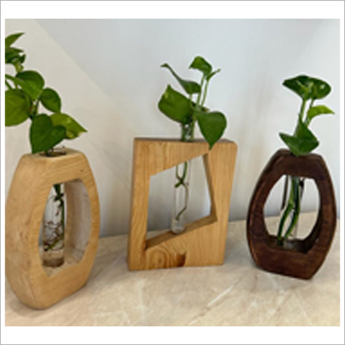 Multiple Shapes Wooden Planters