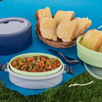 BLUE CLASSIC 2 LAYER LUNCH BOX AIRTIGHT LUNCH BOX  (2408)