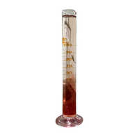 LAB 100ml Graduated Cylinder
