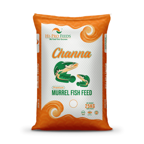 Channa Murrel Fish Feed