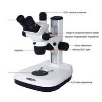 Zoom Stereo Microscope