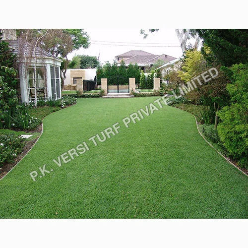 Landscaping Turf