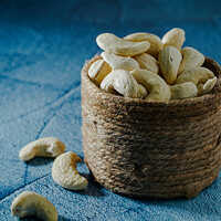 Common White Cashew Nut