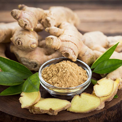 Ginger Powder - Raw Dried Root Vegetable, First Class Quality for Culinary and Medicinal Use | Fresh, Versatile Spice for Curries, Marinades, and Baked Goods