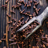 Black Clove Grade: First Class By Soumya Overseas