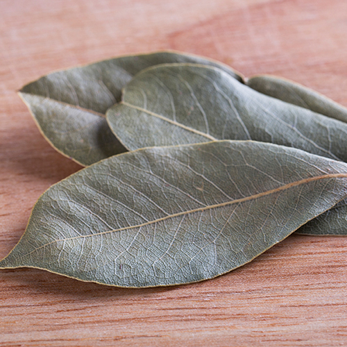 Bay Leaf