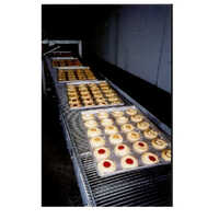 Industrial Ovens Conveyor