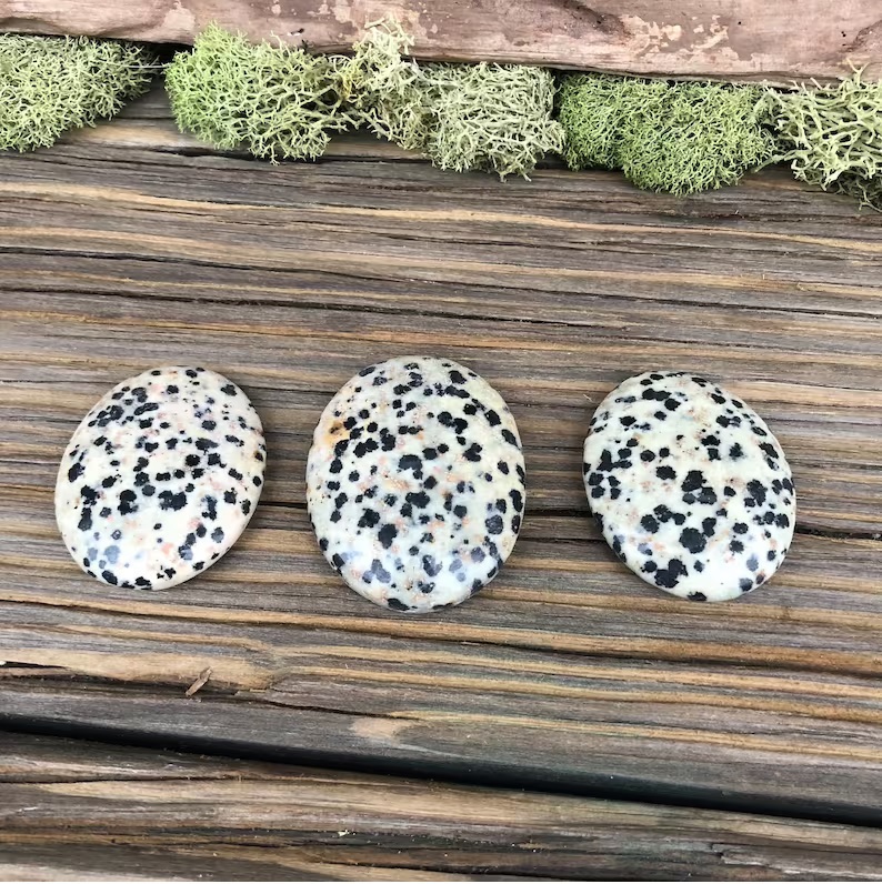 Dalmatian Jasper Worry Stone For Home Decoration
