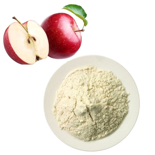 White Dehydrated Apple Powder at Best Price in Ahmedabad Balkrishna