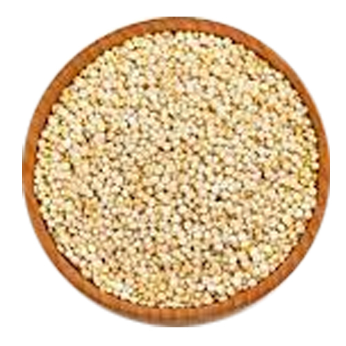 Organic Food Grade White Quinoa at Best Price in Ahmedabad Balkrishna
