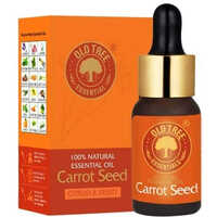 Old Tree Carrot Seed Oil