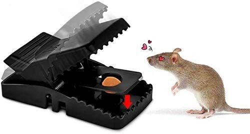 RAT TRAP