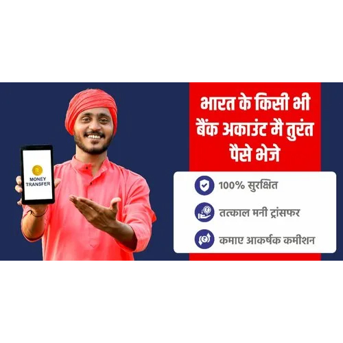 Domestic Money Transfer Portal Service