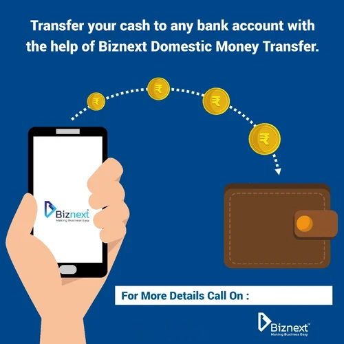 High Accuracy Domestic Money Transfer Service