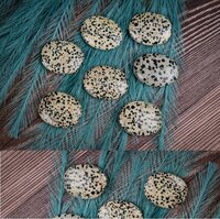 Dalmatian Jasper Worry Stone For Home Decoration