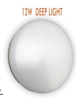 6W Deep Light