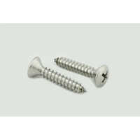 Stainless Steel 304 CSK Head and Philips Self Tapping Screw