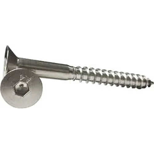 SS Coach Screws