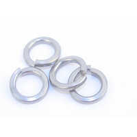 SS Spring Washers