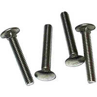 SS Carriage Bolts