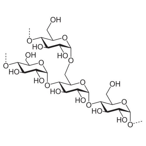 Maize Starch IP