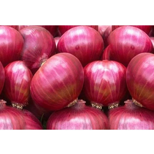 Fresh Red Onion