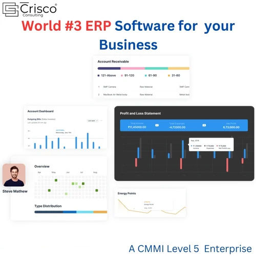 Web Based ERP Software - Cloud-Based, Scalable System | Integrated Management, Real-Time Analytics, User-Friendly Interface