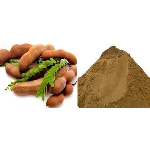 Tray Dried Tamarind Powder