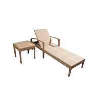Pool Lounge Chair