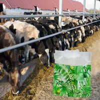Plastic Fly Trap Usage: Dairy