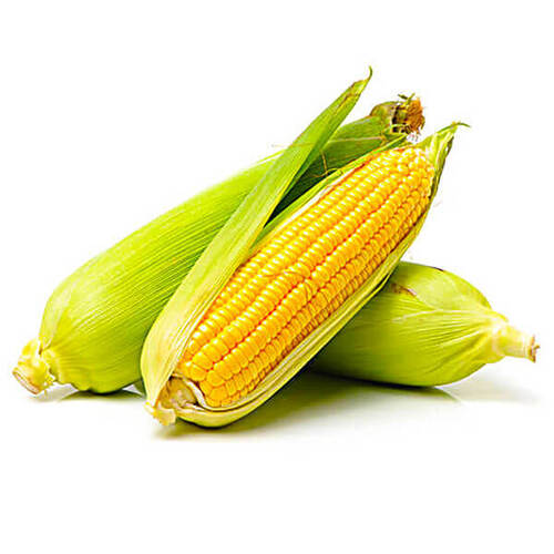 Yellow Maize