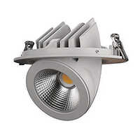Led Zoom Light 30w (ww)