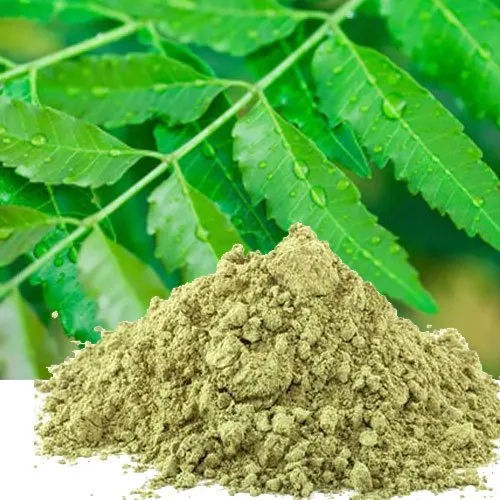 Neem Leaves Powder Grade: A