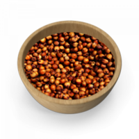 क्रीमी व्हाइट सोरघम