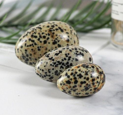 Dalmatian Jasper Eggs Grade: Top