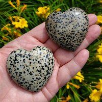 Dalmatian Jasper Hearts