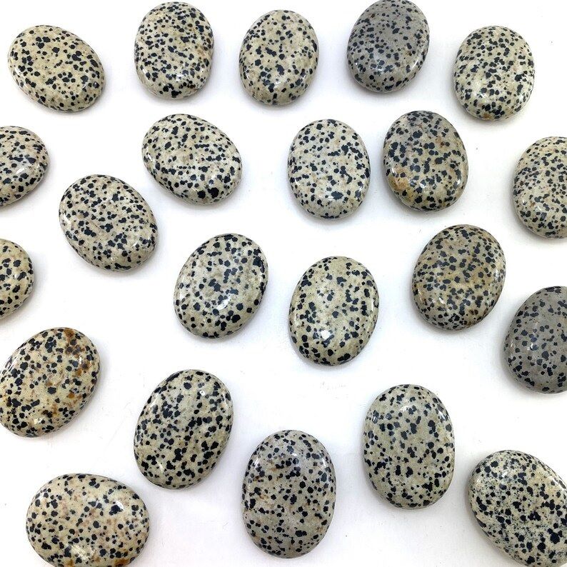 Dalmatian Jasper Palmstone