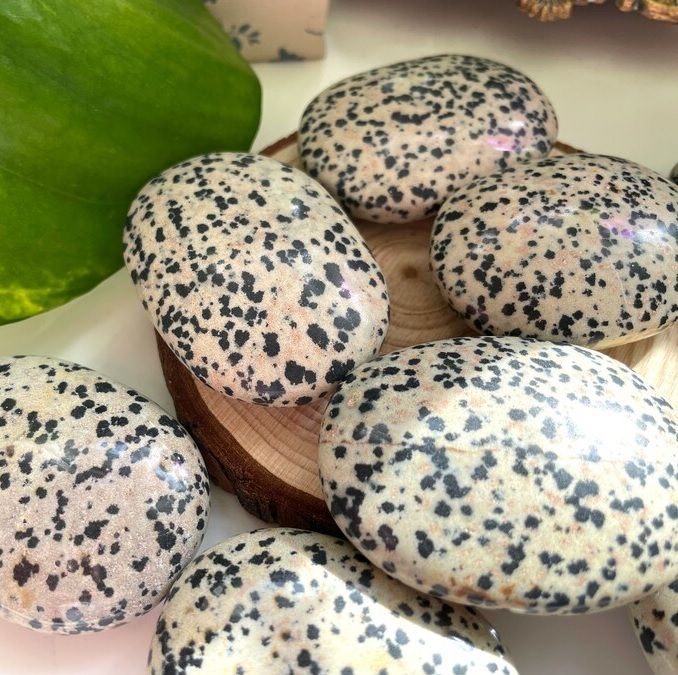 Dalmatian Jasper Palmstone