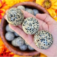 Dalmatian Jasper Sphere - 3 To 3.5 Inch Natural Gemstone, White And Black Polished Stone For Healing And Home Decor