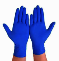 Vinyl Powder Free Gloves