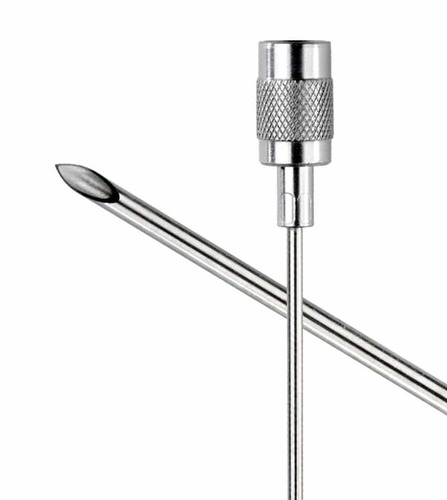 Introducer for spinal needles