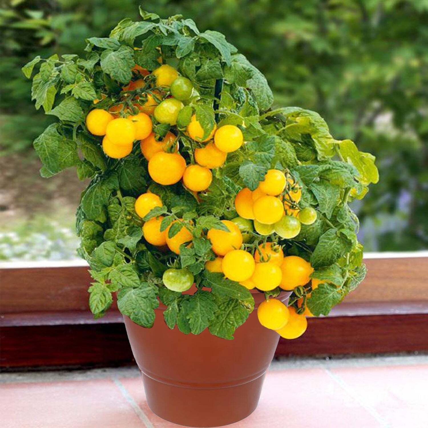 GARDEN HEAVY PLASTIC PLANTER POT/GAMLA 6 INCH (BROWN PACK OF 1 SMALL) (0839)