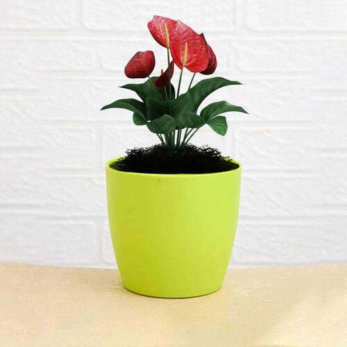 FLOWER POTS ROUND SHAPE FOR INDOOR/OUTDOOR GARDENING (1191)