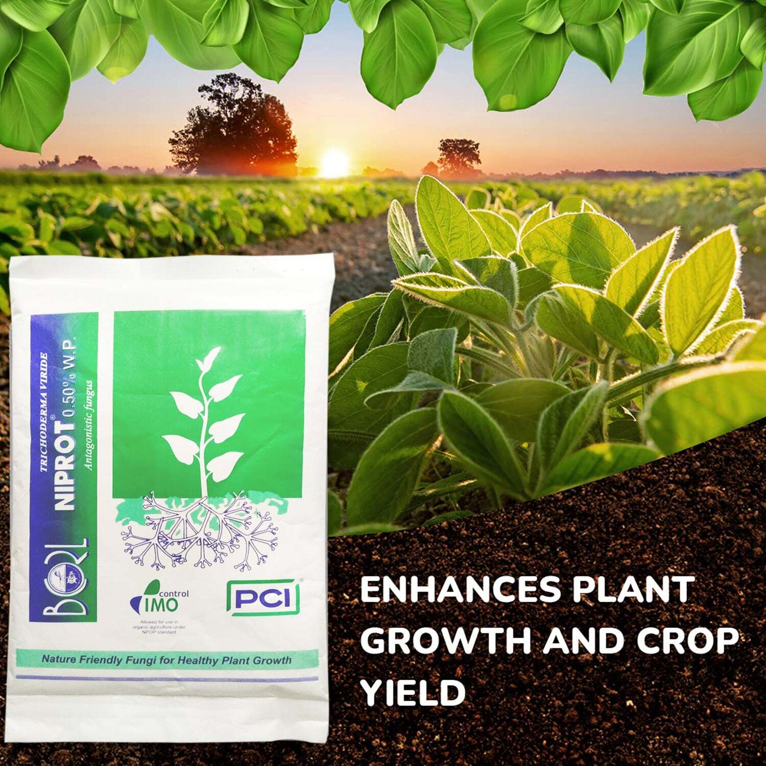 ORGANIC BIO FUNGICIDE FOR SEEDS AND YOUNG PLANTS (1 KG) (1284)